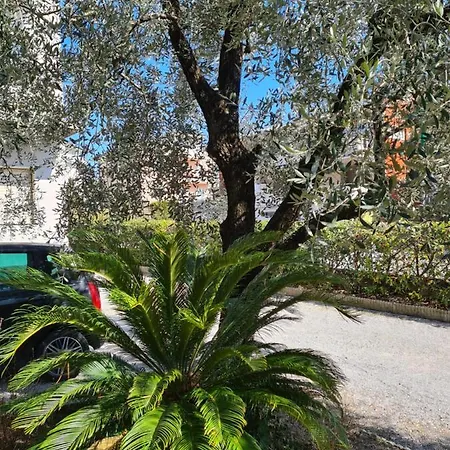 Le Peonie Apartment Riva del Garda Exterior photo