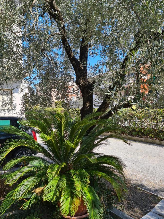 Le Peonie Apartment Riva del Garda