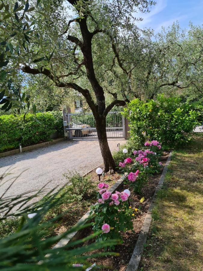 Le Peonie * Riva del Garda