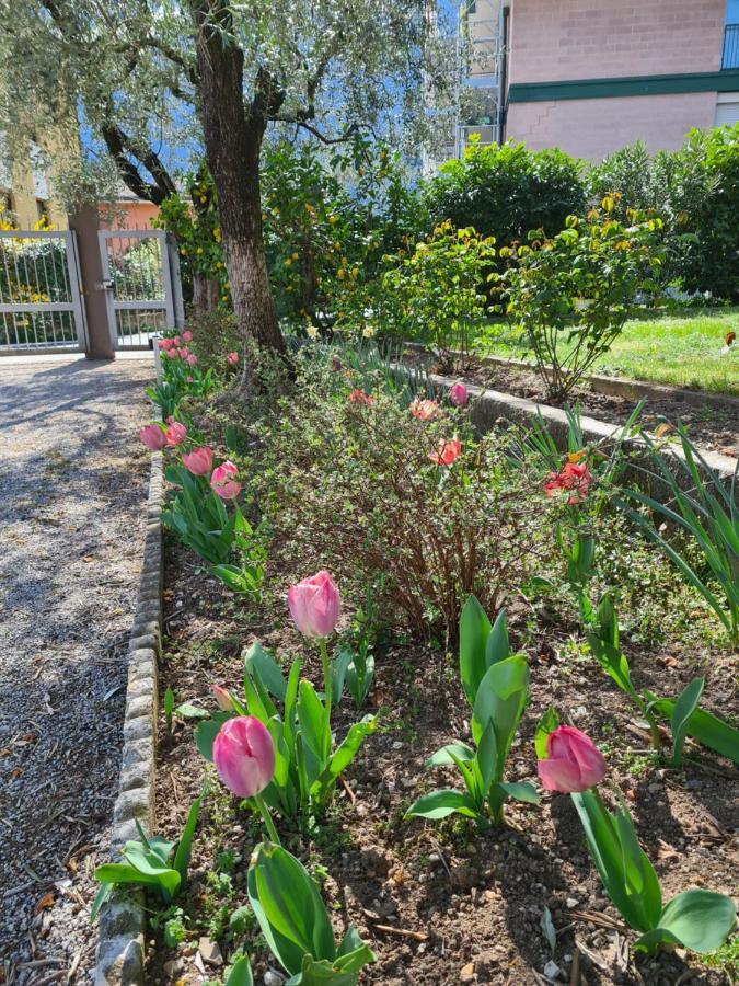 Le Peonie Riva del Garda